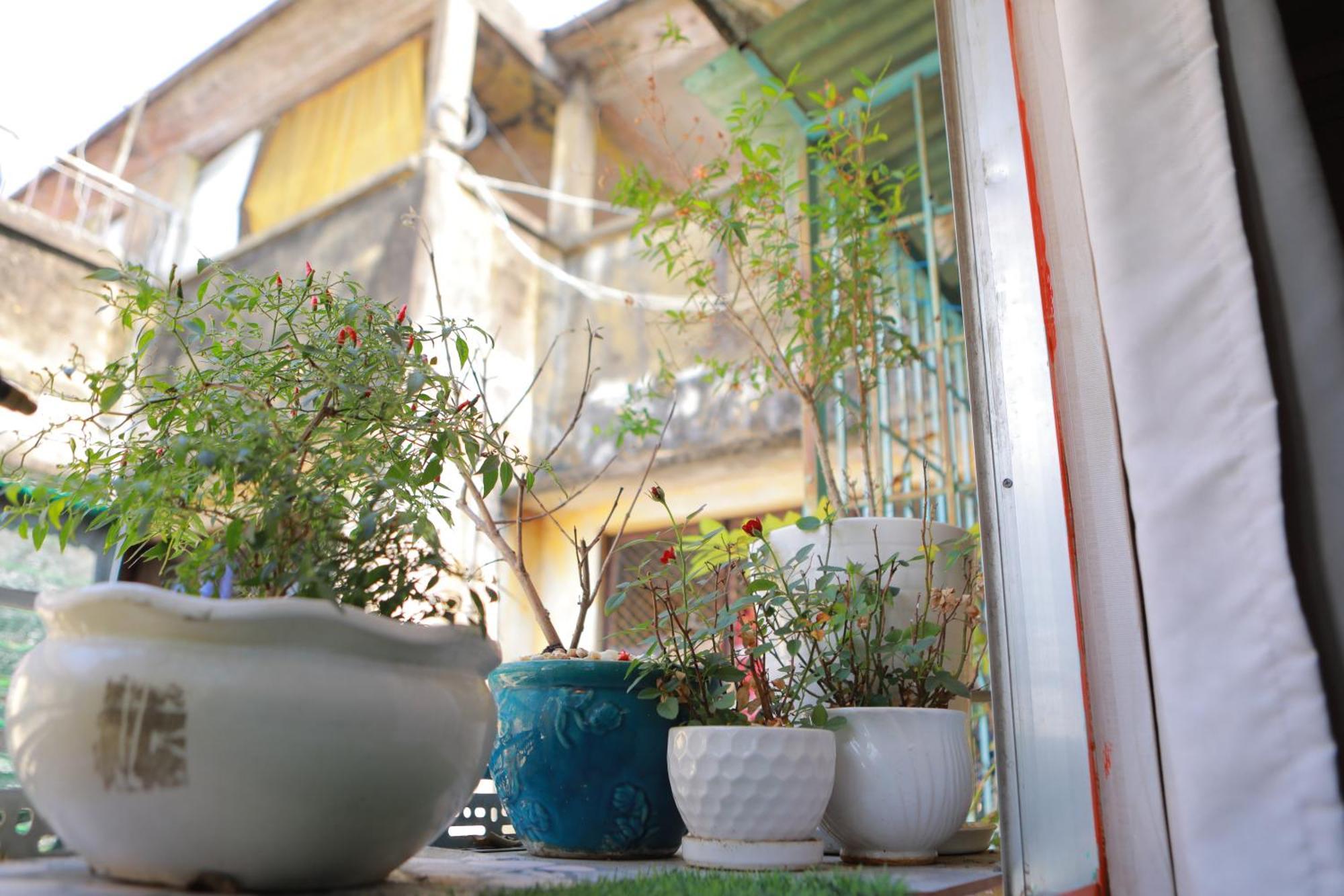 Căn hộ Sunlight House *